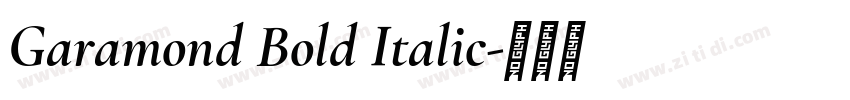 Garamond Bold Italic字体转换